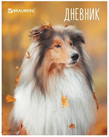 Дневник для 5-11 классов, 48 л., твердый, BRAUBERG, глянцевая ламинация, подсказки, "Колли", 104952
Дневник для 5-11 классов, 48 л., твердый, BRAUBERG, глянцевая ламинация, подсказки, "Колли", 104952
