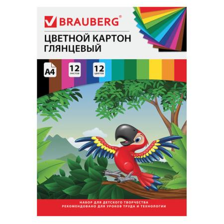 

Картон цветной А4 МЕЛОВАННЫЙ, 12 листов 12 цветов, в папке, BRAUBERG, 200х290 мм, "Килиманджаро", 129917