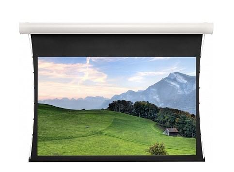 

[10102780] Экран Projecta Tensioned Elpro Concept 218x380 см (172") High Contrast Cinema Vision, доп.черн.кайма 30 см, с эл/приводом с системой натяжения по бокам 16:9