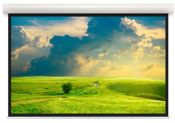 

[10103493] Экран Projecta Elpro Concept 168x220 см (103") Matte White (с черн.каймой) с эл/приводом 4:3