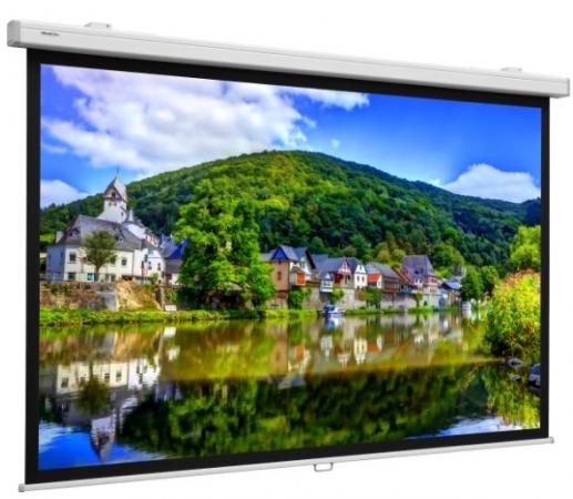 

10200023] Экран Projecta ProScreen 139х240см (106") Matte White настенный рулонный 16:9