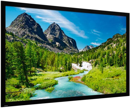 

10690804] Экран Projecta HomeScreen Deluxe 241x416см (184") HD Progressive 1.1 Micro Perforated 16:9