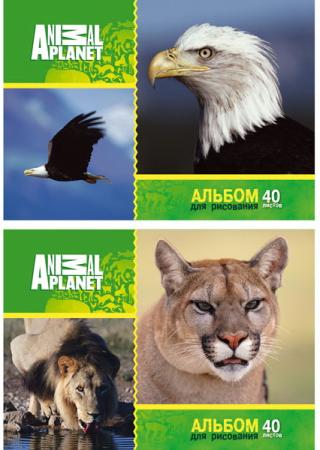 Альбом для рисования Action! ANIMAL PLANET A4 40 листов AP-AAS-40/1 AP-AAS-40/1