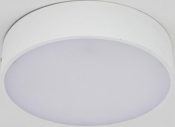 Потолочный светодиодный светильник Citilux Тао CL712R120