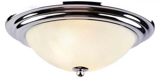 Потолочный светильник Arte Lamp 28 A3012PL-2CC