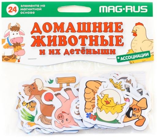 

Магнитная игра развивающая MAG-RUS "Ассоциации" - Домашние животные и их детеныши NF1013