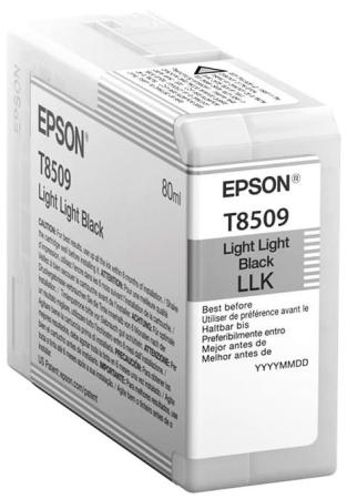 Картридж Epson C13T850900 для Epson SureColor SC-P800 светло серый
