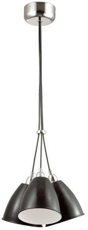 

Подвесная люстра Odeon Light Trina 3974/3
