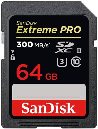 Карта памяти SDXC 64Gb Class 10 Sandisk SDSDXPK-064G-GN4IN