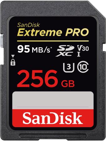 Карта памяти SDXC 256Gb Class 10 Sandisk SDSDXXG-256G-GN4IN