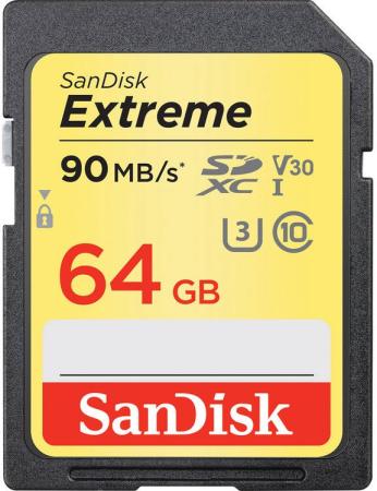 Карта памяти SDXC 64Gb Class 10 Sandisk SDSDXVE-064G-GNCIN