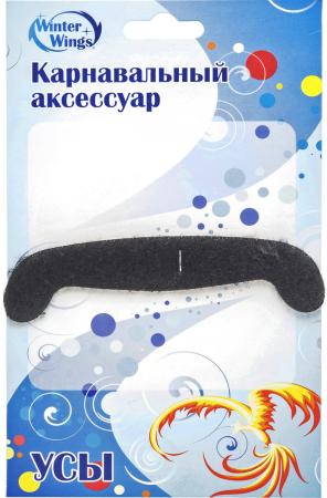 

Карнавальный аксессуар Winter Wings Усы N02545