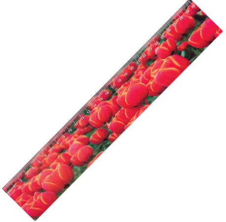 Линейка 3D BRAUBERG "Красные тюльпаны" 30 см пластик