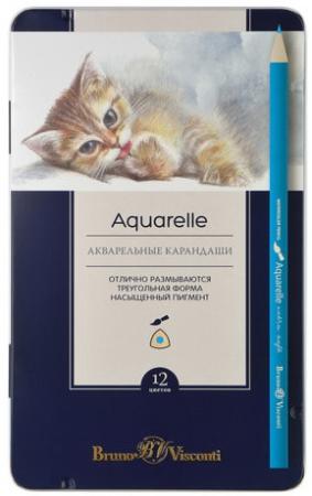Карандаши цветные акварельные BRUNO VISCONTI "Aquarelle", 12 цветов, металлический пенал, 30-0037
