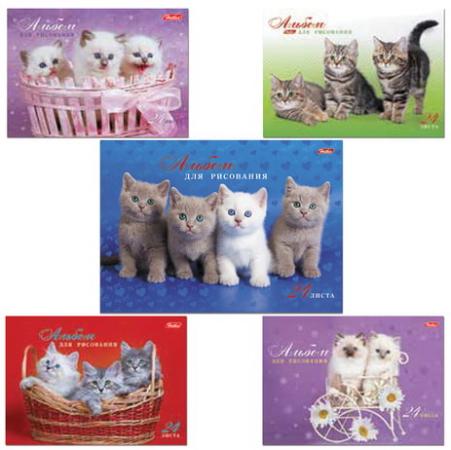 Альбом для рисования, А4, 24 л., спираль, обложка картон, HATBER "Милые котята", 24А4Всп, A075449
