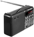 Perfeo радиоприемник цифровой PALM FM+ 87.5-108МГц/ MP3/ питание USB или 18650/ черный (i90-BL)2