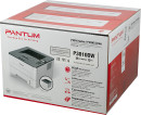 Лазерный принтер Pantum P3010DW7