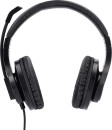 Наушники с микрофоном Hama HS-P300 черный 2м накладные оголовье (00139925)2