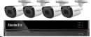 Комплект видеонаблюдения Falcon Eye FE-1108MHD Smart 8.42