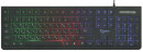 Клавиатура проводная Gembird KB-250L USB черный