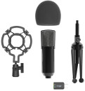 Микрофон проводной Ritmix RDM-160 2.5м черный4