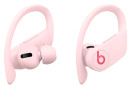 Наушники Apple Totally Wireless: Powerbeats Pro розовый MXY72EE/A2