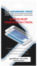Защитное стекло прозрачная DF iColor-25 для iPhone 12 iPhone 12 Pro 0.33 мм черная рамка2