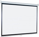 Экран настенно-потолочный Lumien LEP-100106 127 x 127 см