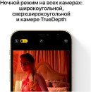 Смартфон Apple iPhone 12 Pro Max золотистый 6.7" 256 Gb NFC LTE Wi-Fi 3G Bluetooth 5G MGDE3RU/A8