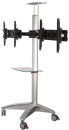 Подставка для телевизора Arm Media PT-STAND-15 серебристый 26"-55" макс.120кг напольный наклон2