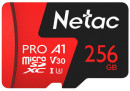 Карта памяти microSDXC 256Gb Netac P5002