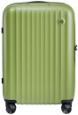 Чемодан NINETYGO Elbe Luggage 20" поликарбонат зеленый 117405S2