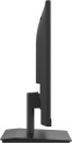 Монитор 23.8" iiYama ProLite XU2493HS-B4 черный IPS 1920x1080 250 cd/m^2 4 ms HDMI DisplayPort VGA8