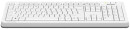 Клавиатура проводная A4TECH Fstyler FKS10 USB белый серый3