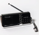 Радиоприемник портативный Сигнал РП-226BT черный USB microSD3