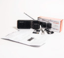 Радиоприемник портативный Сигнал РП-226BT черный USB microSD4