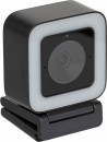 Камера Web Hikvision DS-UL2 черный 2Mpix (1920x1080) USB2.0 с микрофоном2