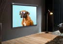 Экран Cactus 149.4x265.7см Wallscreen CS-PSW-149X265-SG 16:9 настенно-потолочный рулонный серый2