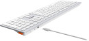 Клавиатура A4Tech Fstyler FBX50C белый USB беспроводная BT/Radio slim Multimedia9