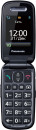 Мобильный телефон Panasonic TU456 черный раскладной 1Sim 2.4" 240x320 0.3Mpix GSM900/1800 microSDHC max32Gb