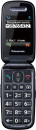 Мобильный телефон Panasonic TU456 черный раскладной 1Sim 2.4" 240x320 0.3Mpix GSM900/1800 microSDHC max32Gb2
