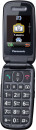Мобильный телефон Panasonic TU456 черный раскладной 1Sim 2.4" 240x320 0.3Mpix GSM900/1800 microSDHC max32Gb4
