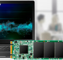 Твердотельный накопитель SSD M.2 Transcend 250Gb MTS825 <TS250GMTS825S> (SATA3, up to 500/330MBs, 3D NAND, 90TBW, 22x80mm)5