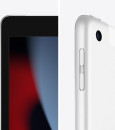 Планшет Apple iPad 2021 A2604 A13 Bionic 6С ROM256Gb 10.2" IPS 2160x1620 3G 4G iOS серебристый 8Mpix 12Mpix BT GPS WiFi Touch 9hr4
