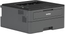 Лазерный принтер Brother HL-L2371DN2