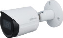 Камера видеонаблюдения IP Dahua DH-IPC-HFW2230SP-S-S2 2.8-2.8мм цв.2
