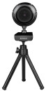 Камера Web A4Tech PK-710P черный 1Mpix (1280x720) USB2.0 с микрофоном6