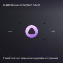 Колонка портативная 1.0 (моно-колонка) Yandex YNDX-00054GRY Серый6