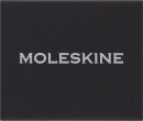 Шильд-символ Moleskine Zodiac Лев металл серебристый коробка с европод. PINLEOSILV2