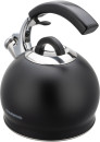 Чайник металлический Starwind Chef Concept 3л. черный (SW-CH1510)10